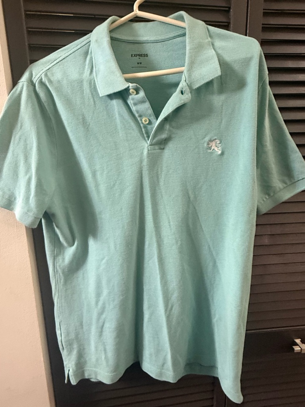 Express Men's Light Aqua Polo Shirt